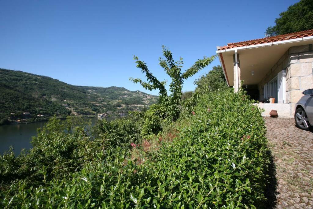 Douro Valley - Casa Do Campo Resende Covelas  Exterior photo
